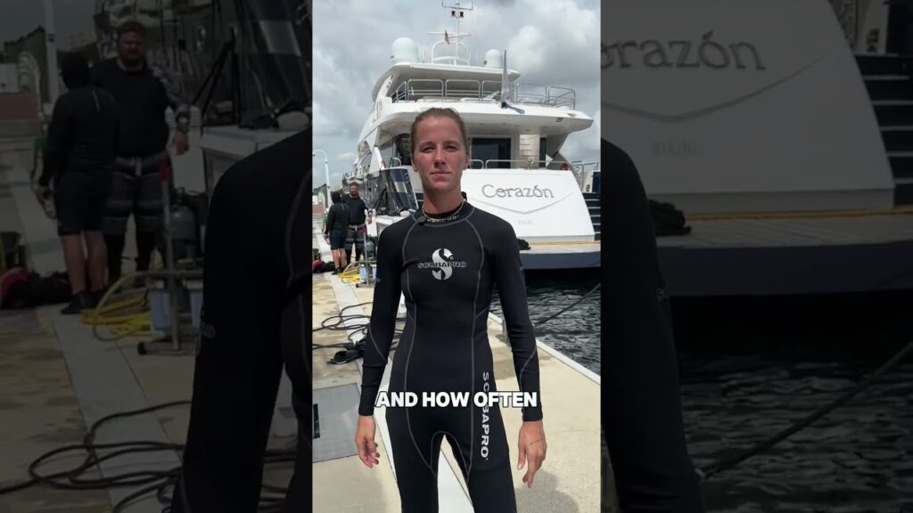 North Miami Beach Yacht Cleaning Techniques for Beginners
